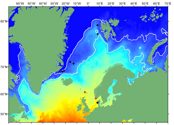 Vandring hos Atlantisk laks. Courtesy David Righton - CEFAS 