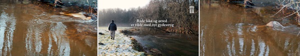 Laks-og-oerred-gyder-paa-samme-stryg