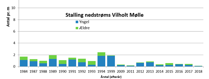 Stallingbestanden nedstrøms Vilholt Mølle siden 1984.