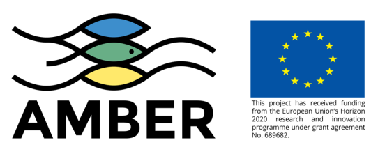 Amber og EU-logo