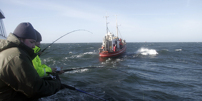 Torskefiskeri i Øresund