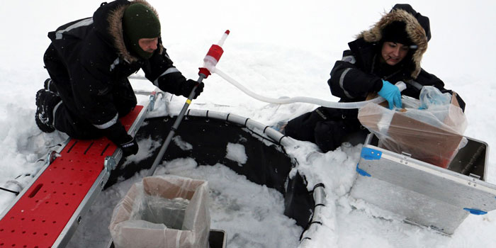 Kristine Toxværds feltforsøg med oliespild i havis blev gennemført i specialdesignede såkaldte mesocosmos, som blev fastgjort i havisen på Svalbard. Foto: Line Reeh.