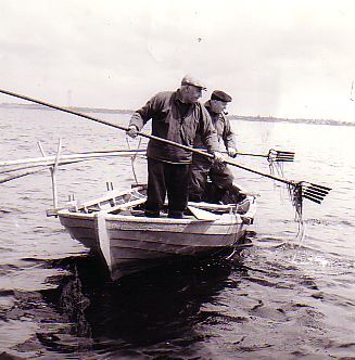 Ålestangning i Roskilde Fjord