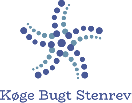 Køge Bugt Stenrev