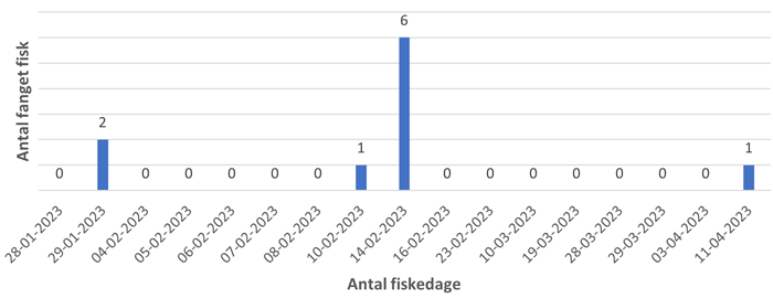 Antal fangede fisk pr. dag over 17 fiskedage.