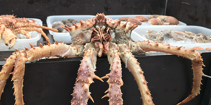 DTU Aquas udstilling af fisk og skaldyr på Naturmødet
