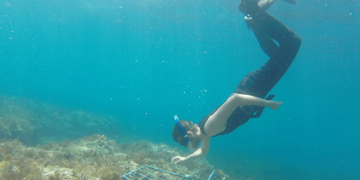 Snorkling