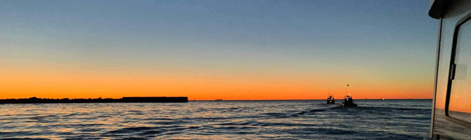 Tun - Både sejler udfra Skagen Havn for at fange, mærke og genudsætte tun.