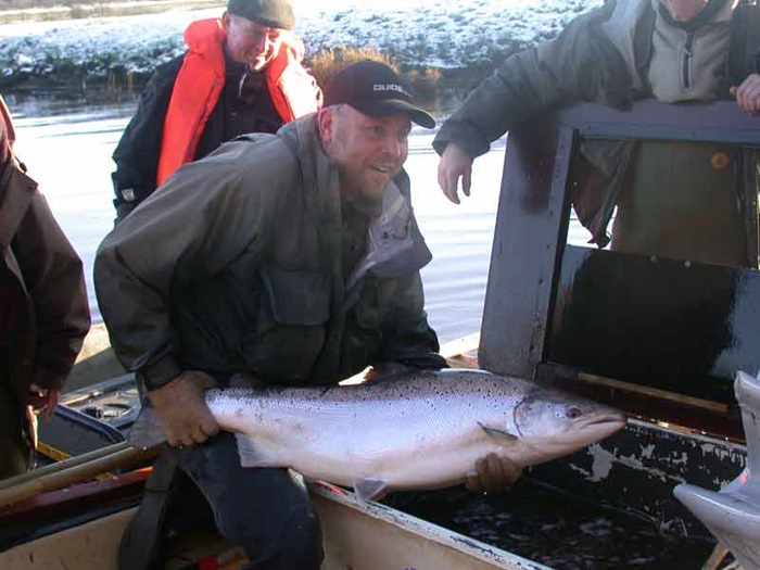 Laks fanget i Varde Å i efteråret 2004.