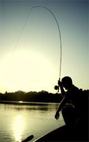 Sport fishing is of great recreational value
