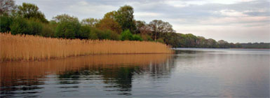 Haldsø undersøgelse
