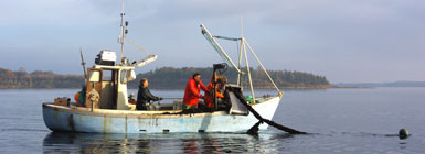 Nørrefjord. Foto: Poul Nielsen