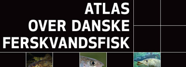 Atlas over danske ferskvandsfisk
