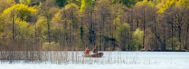 Ny viden om fisk og søer er samlet på www.fiskepleje.dk