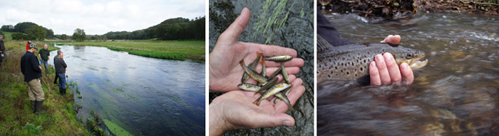 Kursus i vandløbsrestaurering