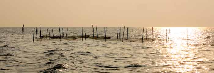 Erhvervsfiskeri i ferskvandssøer - statestik over fangster