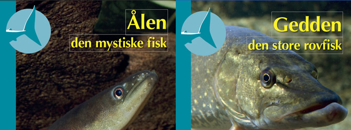 Børnebøger om ål og gedde