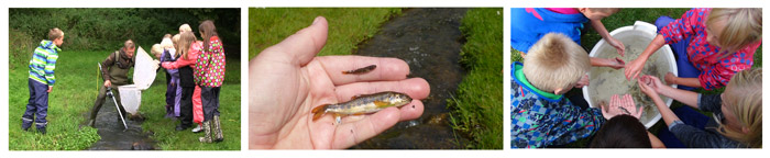 World fish migration day 2020-Genskabe levesteder for fisk