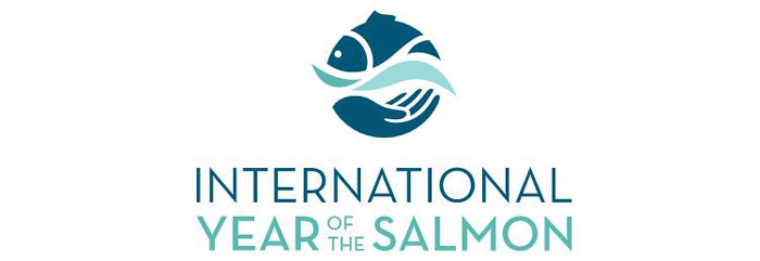 International lakseår 2019