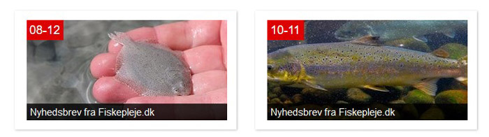 Nyheder fra Fiskepleje.dk i 2020