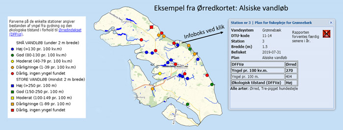 Alsiske vandløb undersøgt i 2019