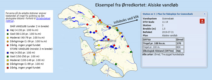 Kortet viser, de lokaliteter som blev undersøgt på Als i efteråret 2019