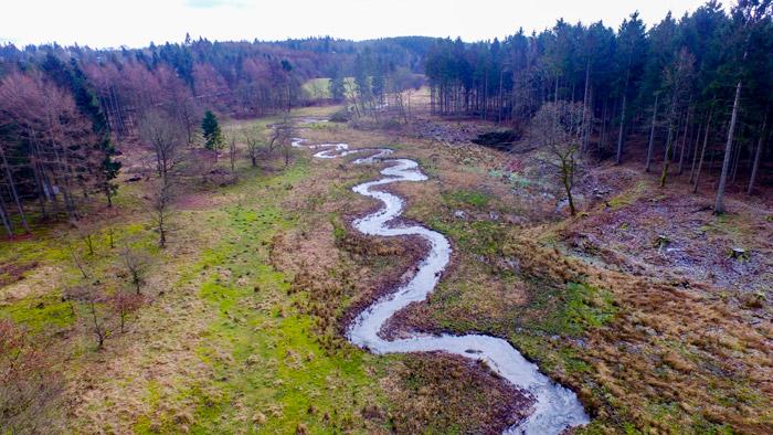 Vandløb med naturlige slyngninger