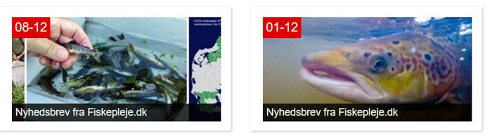 Nyhedsbreve frz fiskeplejen i 2021