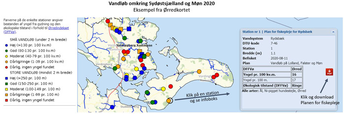 Udsnit fra Ørredkortet som viser tætheden af naturlig produceret ørredyngel