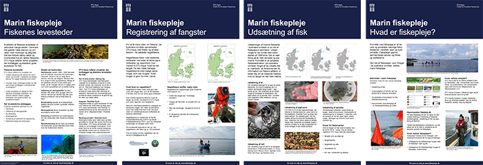 Fire plakater om marin fiskepleje