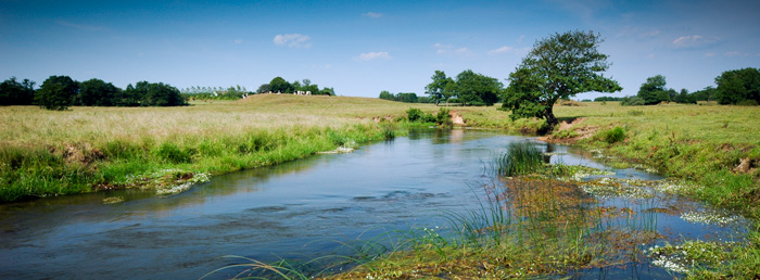 Skjern Å ved Nørre Grene