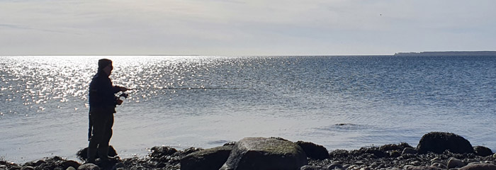 Kystfiskeri  efter havørred