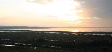 Flade S&oslash;
