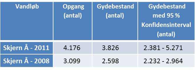 Gydebestand og opgang af laks i Skjern &Aring; i 2008 og 2011
