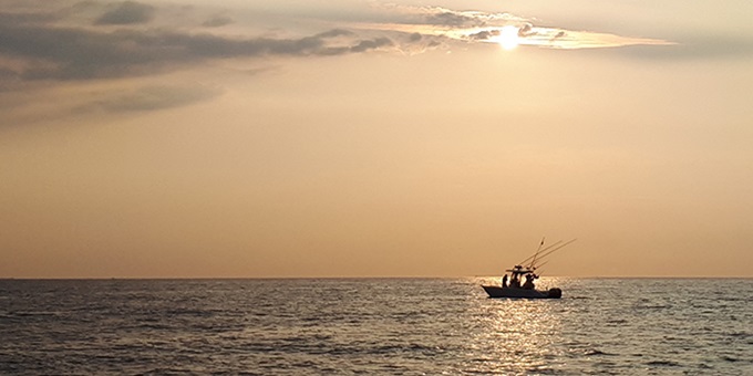 Både sejler ud fra Skagen Havn efter blåfinnet tun.