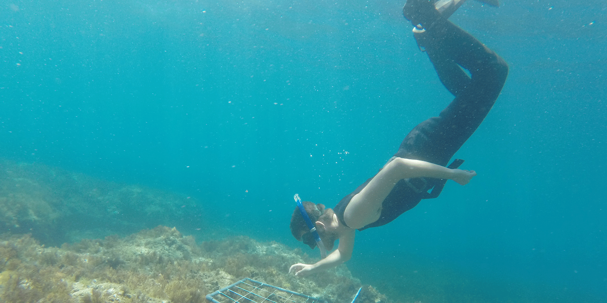 Snorkling
