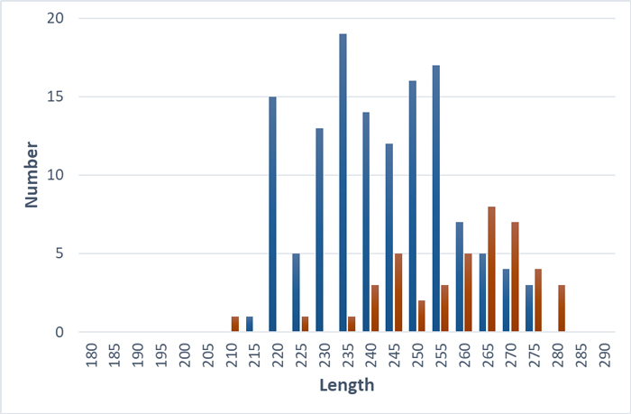 Length of tagged bluefina tuna in danish waters