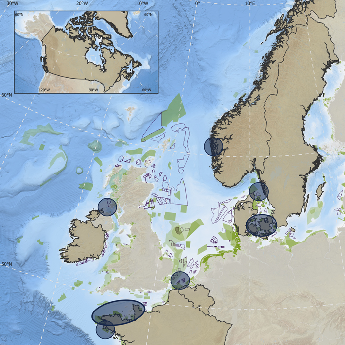 NorTrack-Map of the Northeast Atlantic, depicting existing acoustic telemetry arrays (blue circles), overlapped with current and planned offshore development (green/traced areas). Darker countries depict NorTrack partner countries.