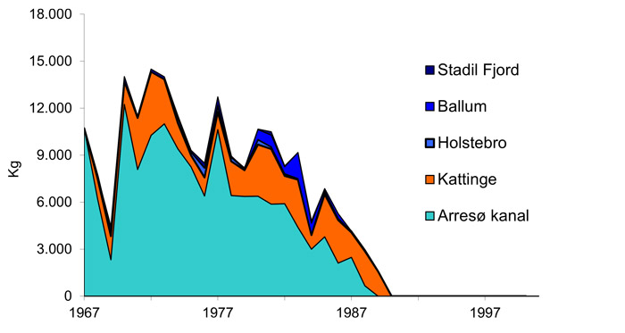 Fangsten af småål på 0,5-10 gram i perioden 1967-1990.
