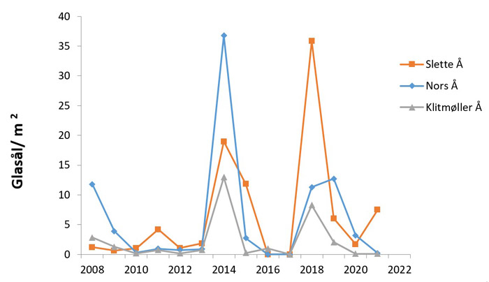 Opgangen af glasål i Slette Å, Nors Å og Klitmøller Å moniteret ved elektrofiskeri 2008-2021.