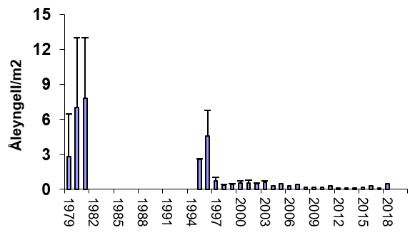 Ål pr. kvadratmeter i Vester Vedsted Bæk, 1979-2018.