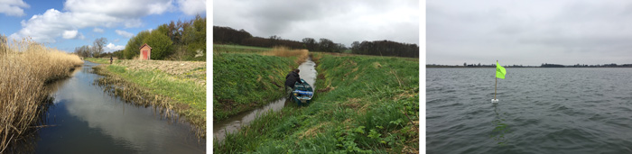 Brakvandsgedder undersøges i Askeby Landkanal