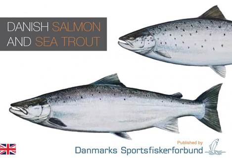 Danish salmon and seatrout