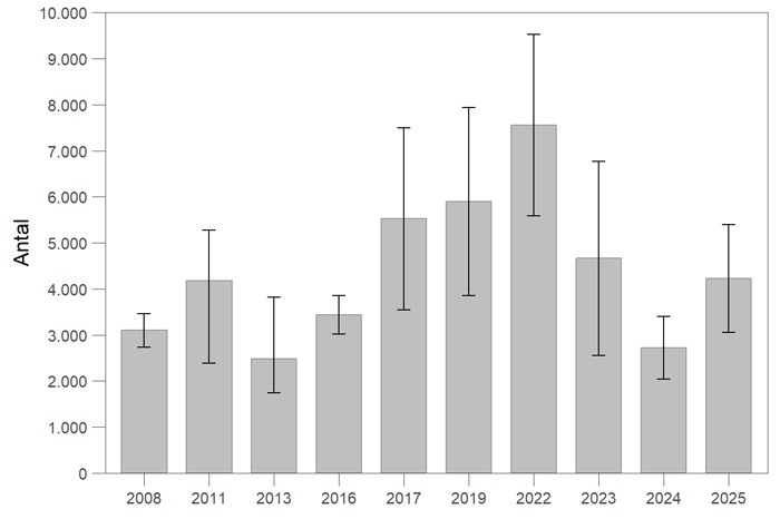 Laksebestanden i Skjern Å i perioden 2008-2025