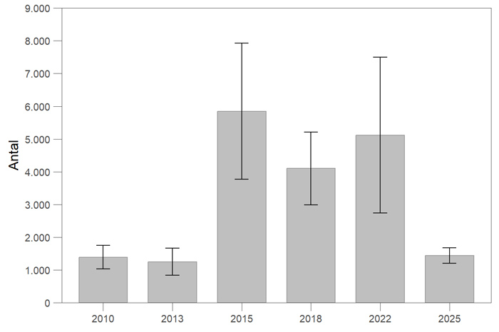 Laksebestanden i Storå i perioden 2010-2026