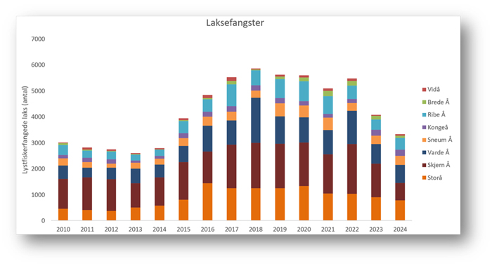 Laksefangster i perioden 2010-2024