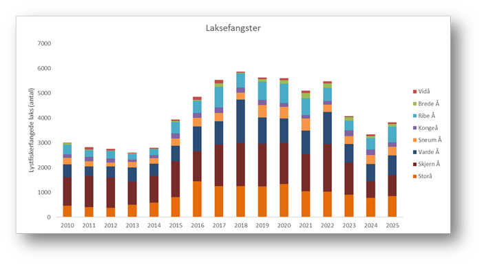 Laksefangster i danske vandløb i perioden 2010-2025