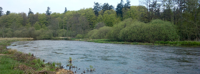 Laksekvote i Varde Å - Varde Å ved Nørholm