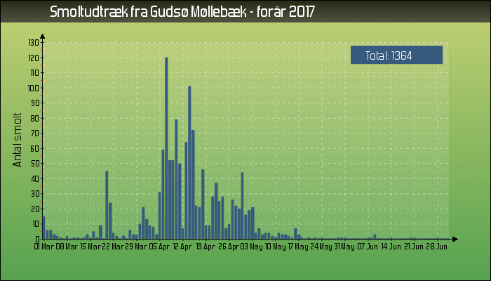 Gudsø Møllebæk udtræk af ørredsmolt i 2017