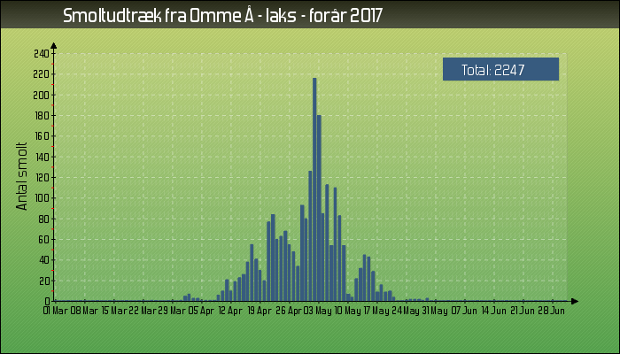 Omme Å udtræk af laksesmolt i 2017